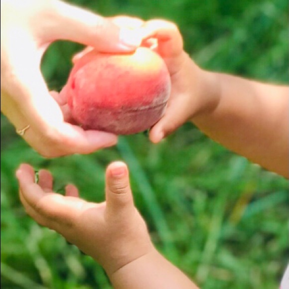 Meet your Posher, Hattie - Picture 8 of 16